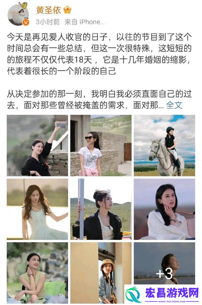 麦琳给所有人道歉
