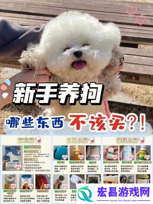 人狗胶配方大全狗狗播放