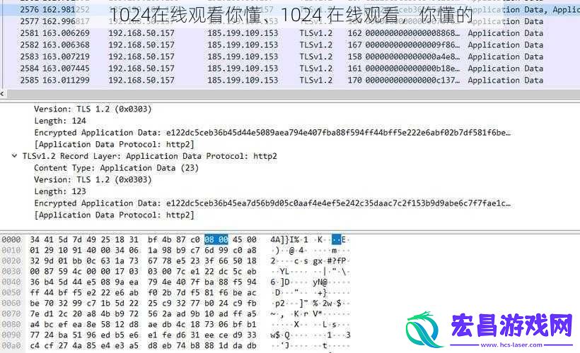 1024在线观看你懂、1024