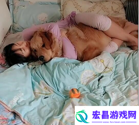 探讨“女人跟金毛发生产关系怎么办”的现实与思考