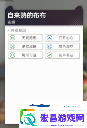 猫之城怎么配猫
