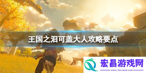塞尔达传说王国之泪可盖大人怎么打