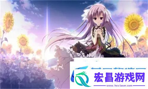 免费站在线观看人数在哪省