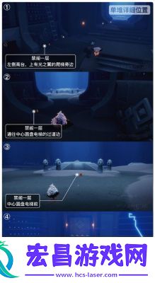 光遇雨林全攻略指南