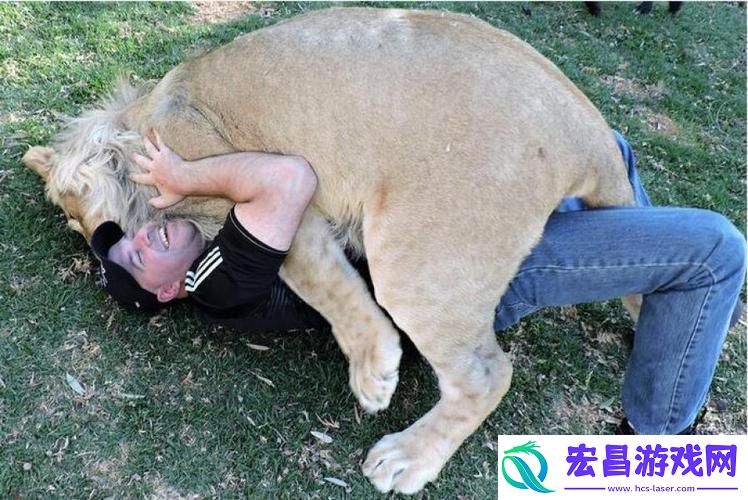 内容丰富人野兽马狗猪