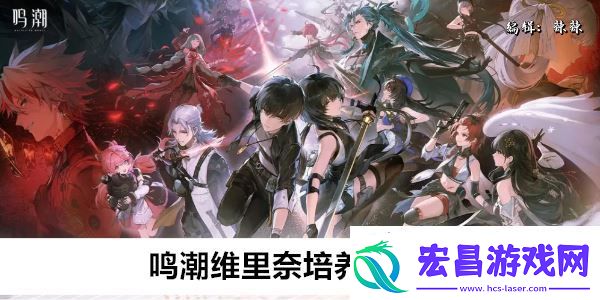 鸣潮维里奈培养材料一览