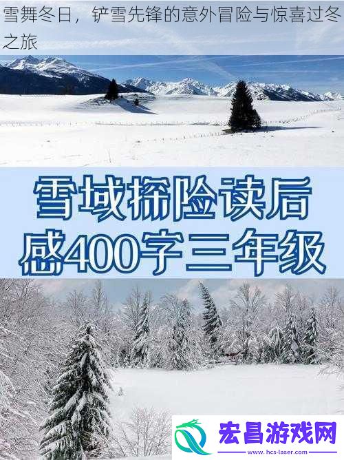 雪舞冬日