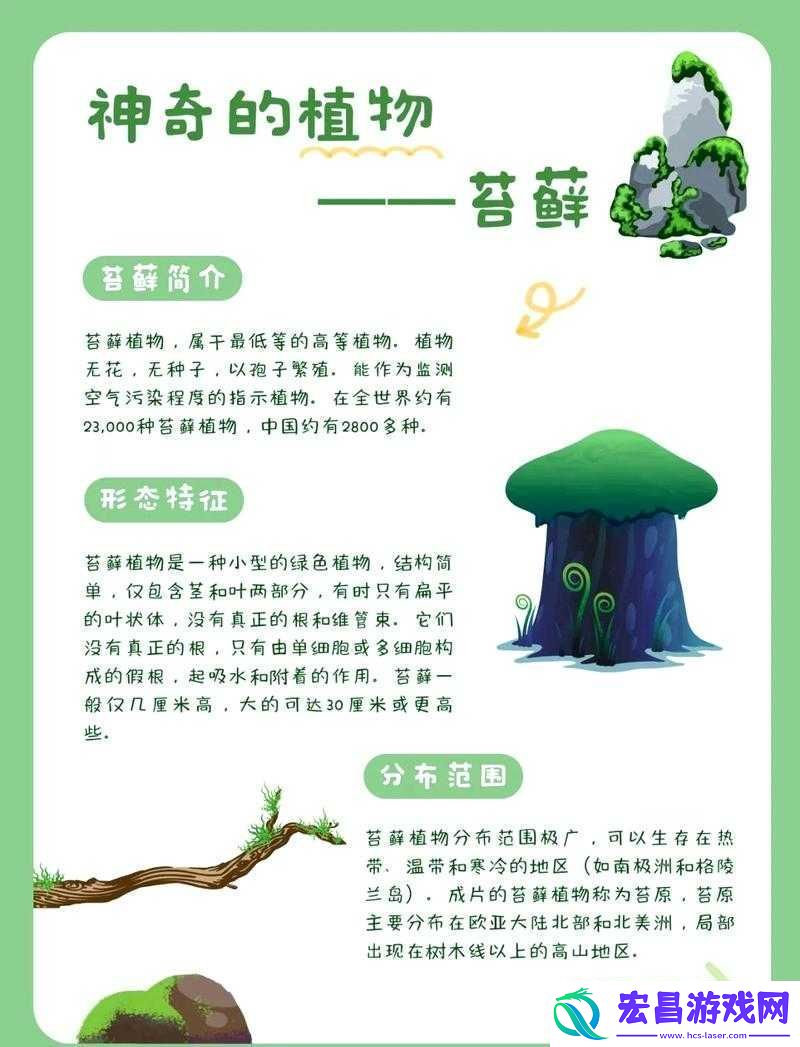 在这个神秘而充满生机的村庄里探索繁殖的奥秘