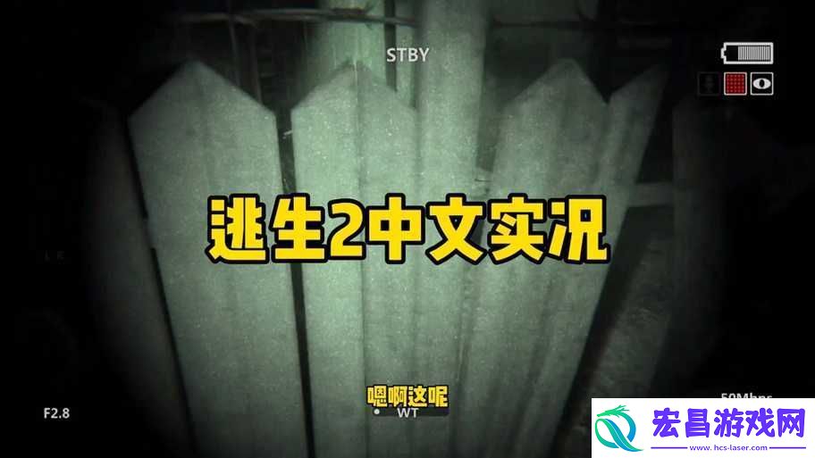 逃生2游戏中文版调整及详细中文设置方法指南