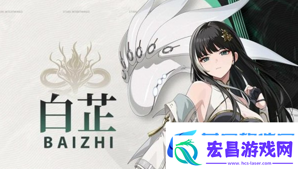 鸣潮白芷声骸推荐