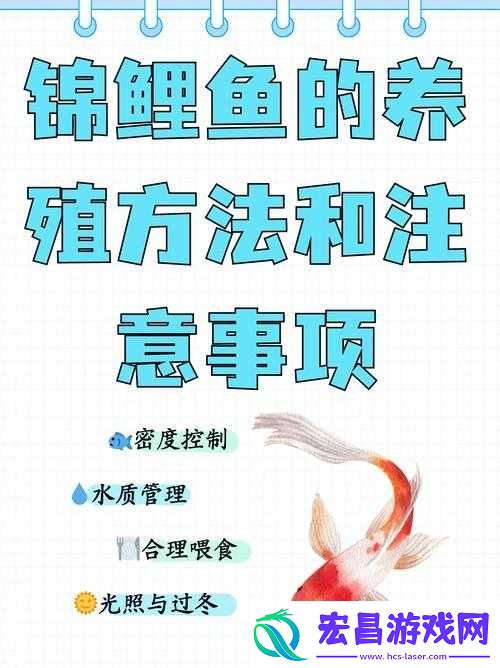 一夹一放怎么放和锦鲤吸水区别是什么之深入探究与详细解析