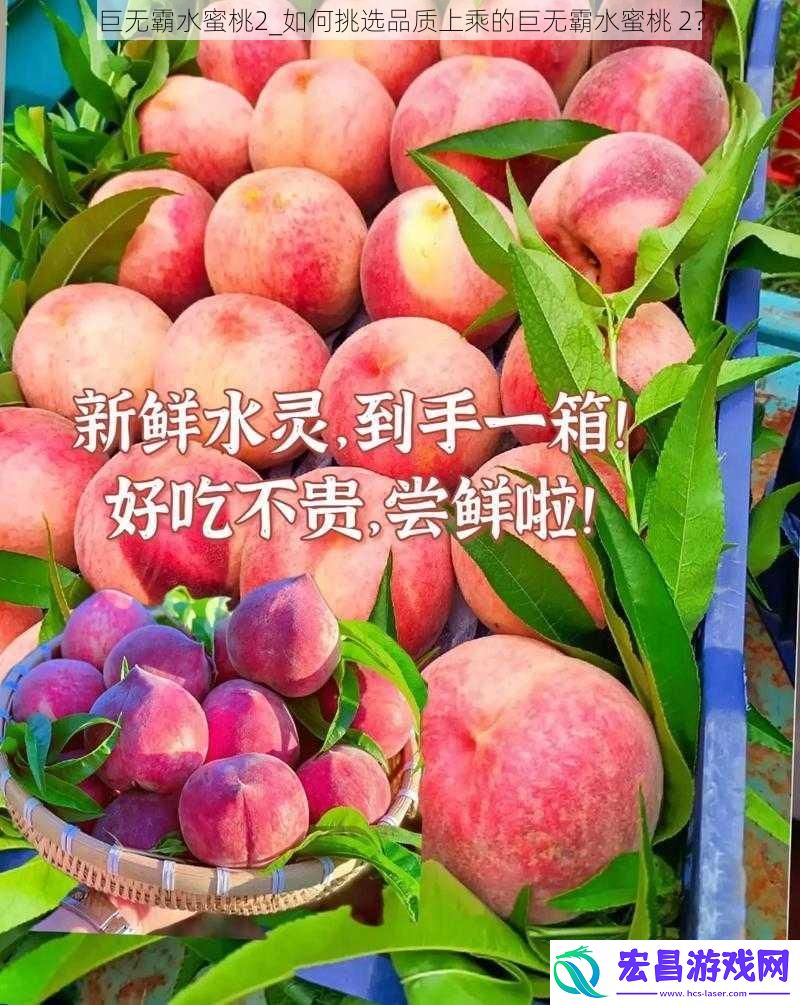 巨无霸水蜜桃2