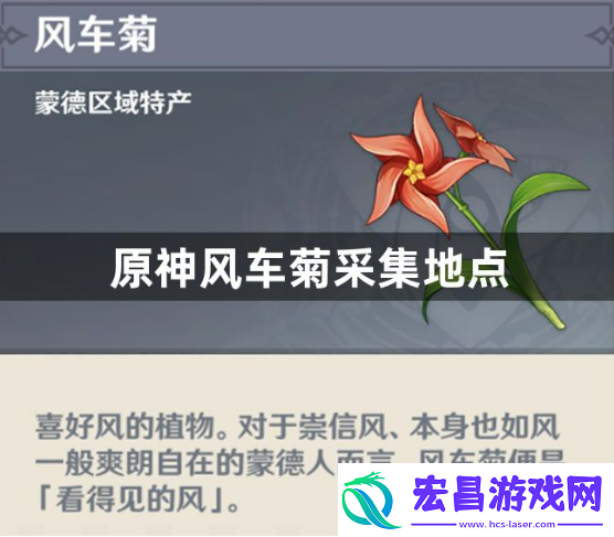原神风车菊采集地点在哪