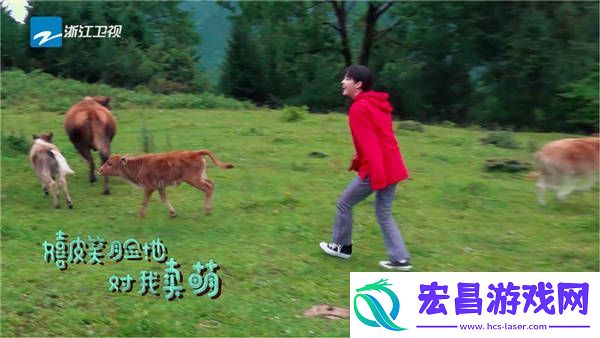 跑男“雨琦弟弟”发话了