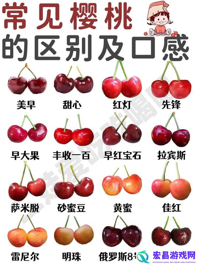 黄蜜大樱桃跟红蜜的区别到底在哪里有哪些方面不同呢