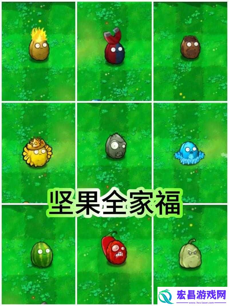 植物大战僵尸杂交版套盒坚果怎么样