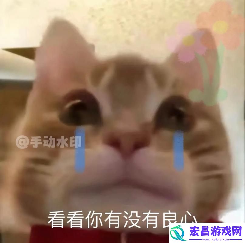 细数男人把QQ号放进女人表情包里