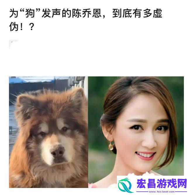 陈乔恩回应为红小狗发声