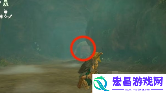 塞尔达传说王国之泪炸弹花在哪里获得