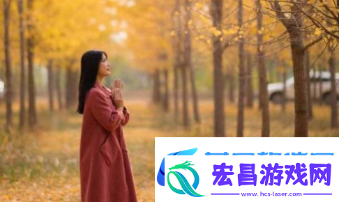 91精品视频在线