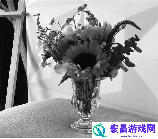 文淇晒镜头中世界！文艺细腻审美在线