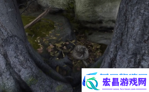 天国拯救2狮子纹章在哪里介绍