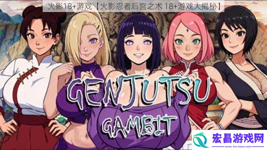 火影18+游戏【火影忍者后宫之术