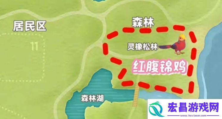 心动小镇新春季第3周4只鸟位置