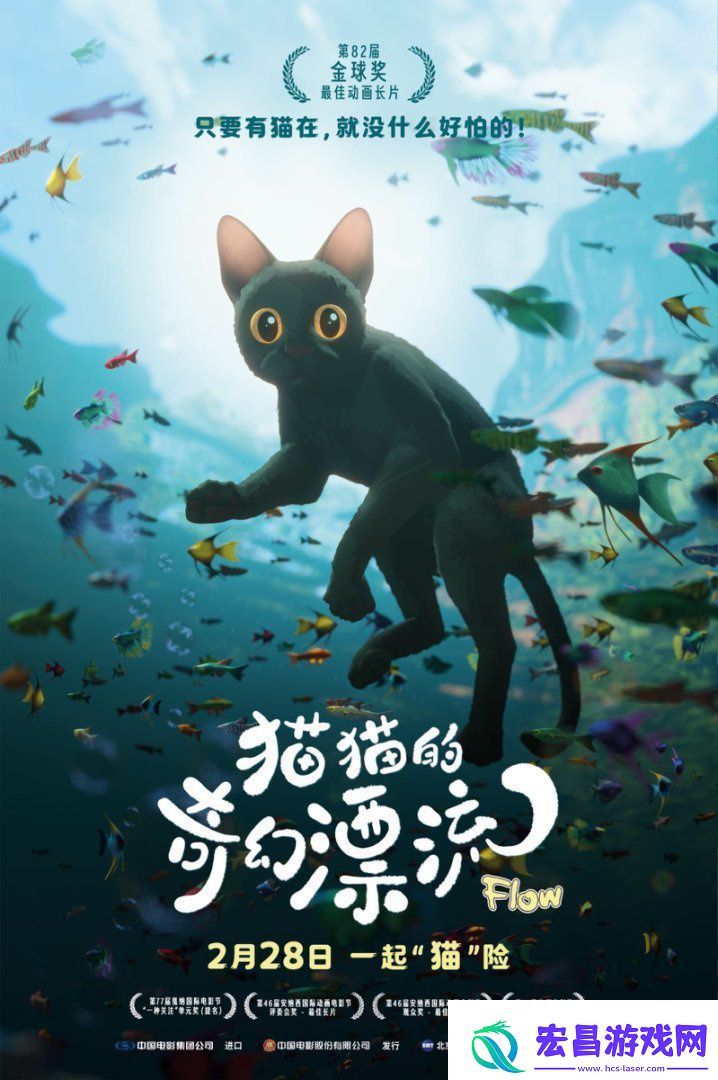 猫猫的奇幻漂流