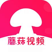轻松获取精彩短视频