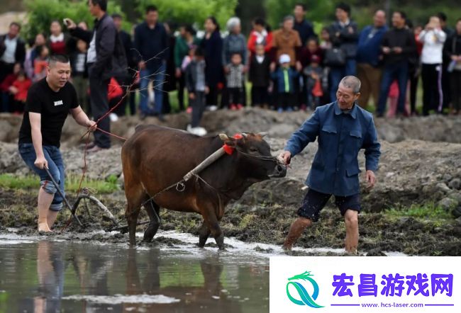 陈意涵邀你来福建逛城门看游神