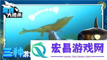 影子武士2存档位置不对怎么回事