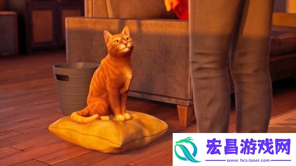 奇异人生双重曝光有多少章节