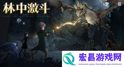 哈利波特