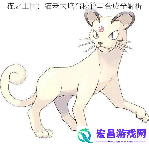 猫之王国