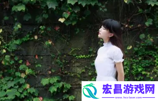 免费B站在线观看人数在哪儿找