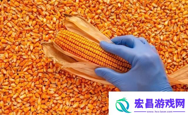 玉米强势上涨！你何时卖粮