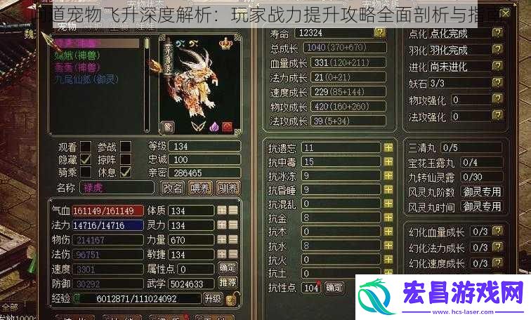 问道宠物飞升深度解析