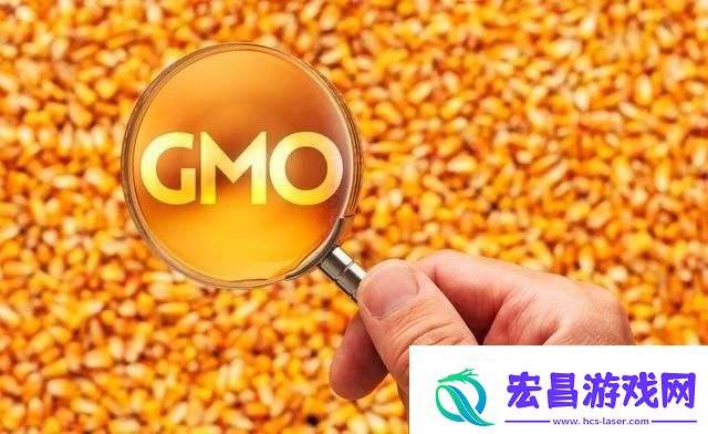 玉米强势上涨！你何时卖粮