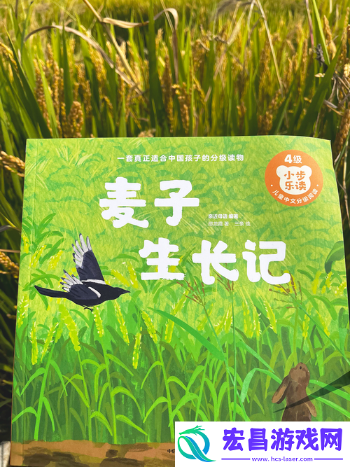 麦子的秘密2