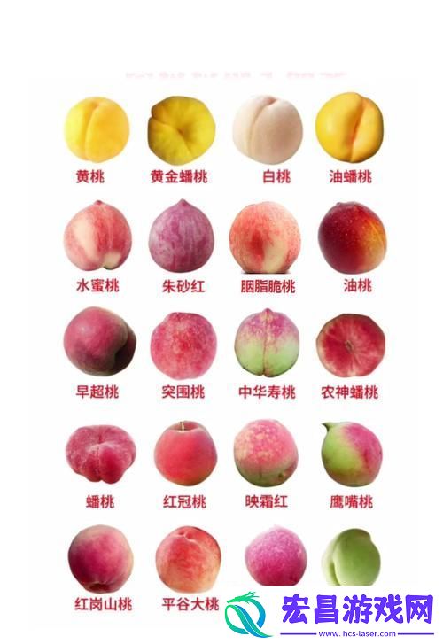 蜜桃精产国品一二三产区的区别难道不值得关注吗