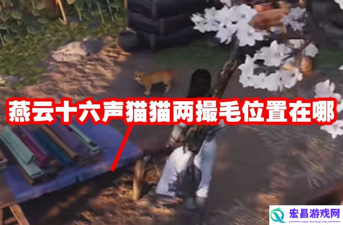 燕云十六声猫猫两撮毛位置在哪燕云十六声猫猫两撮毛位置一览
