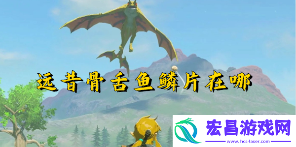 塞尔达传说王国之泪远昔骨舌鱼鳞片在哪