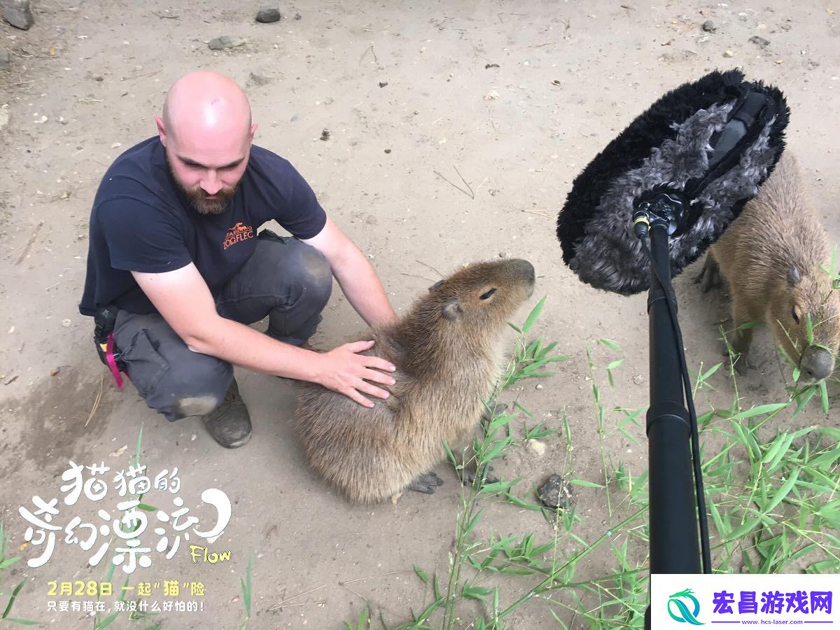 动画电影猫猫的奇幻漂流发布“再靠近一点点”幕后特辑