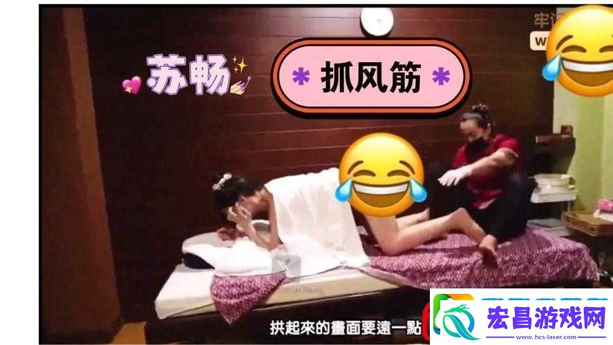 麻花传