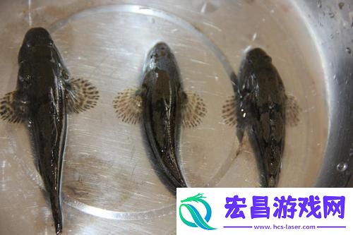 重温“妈**朋友中字巴巴鱼汤饭”