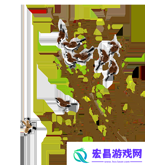 今日雨水
