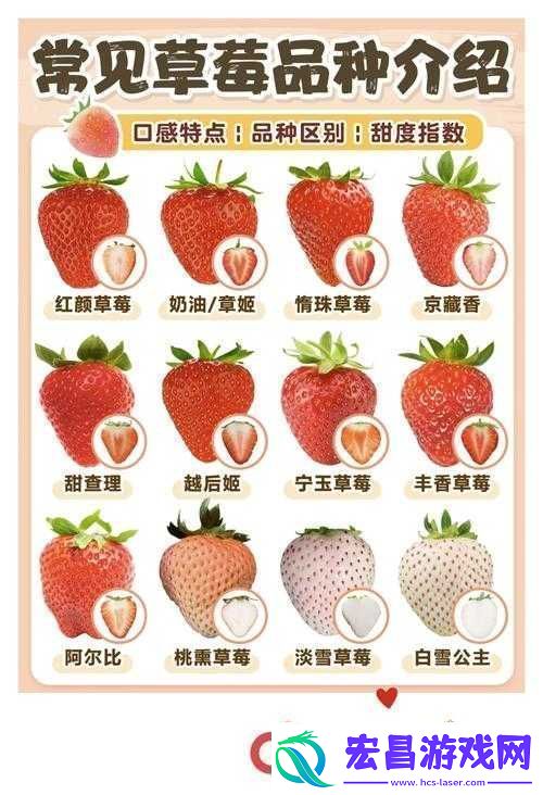 蜜丝婷大草莓和小草莓有什么区别哪款更适合你