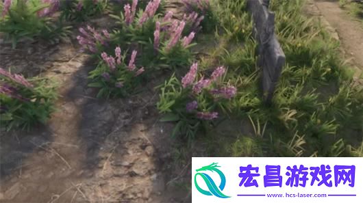 天国