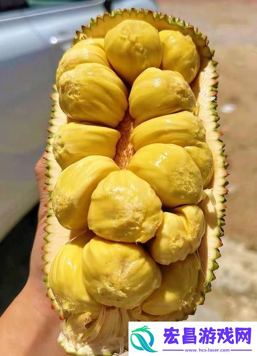 榴莲香蕉苹果哈密瓜水蜜桃
